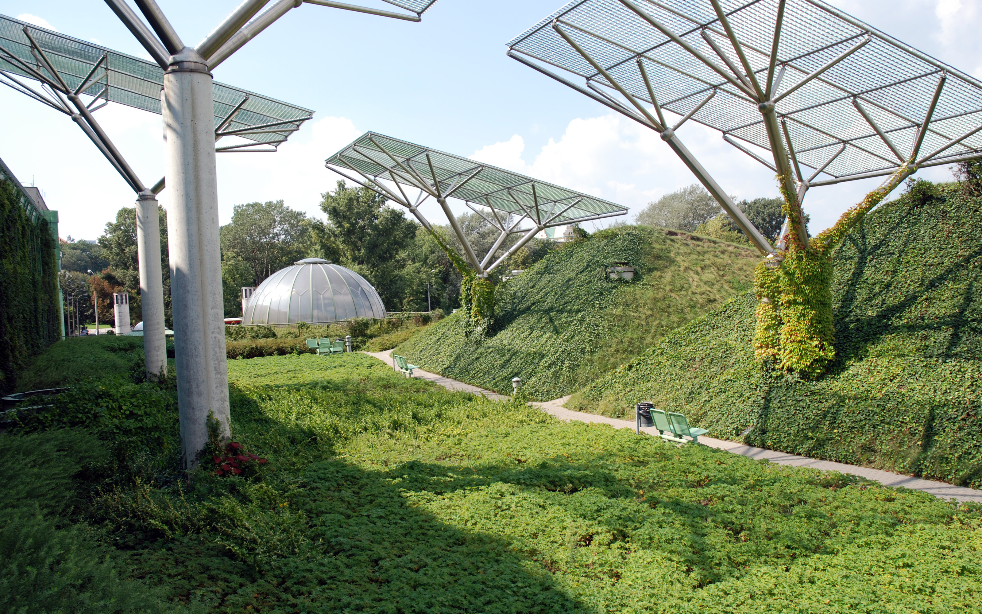 Metal panels with climbers and surrounded by ivy